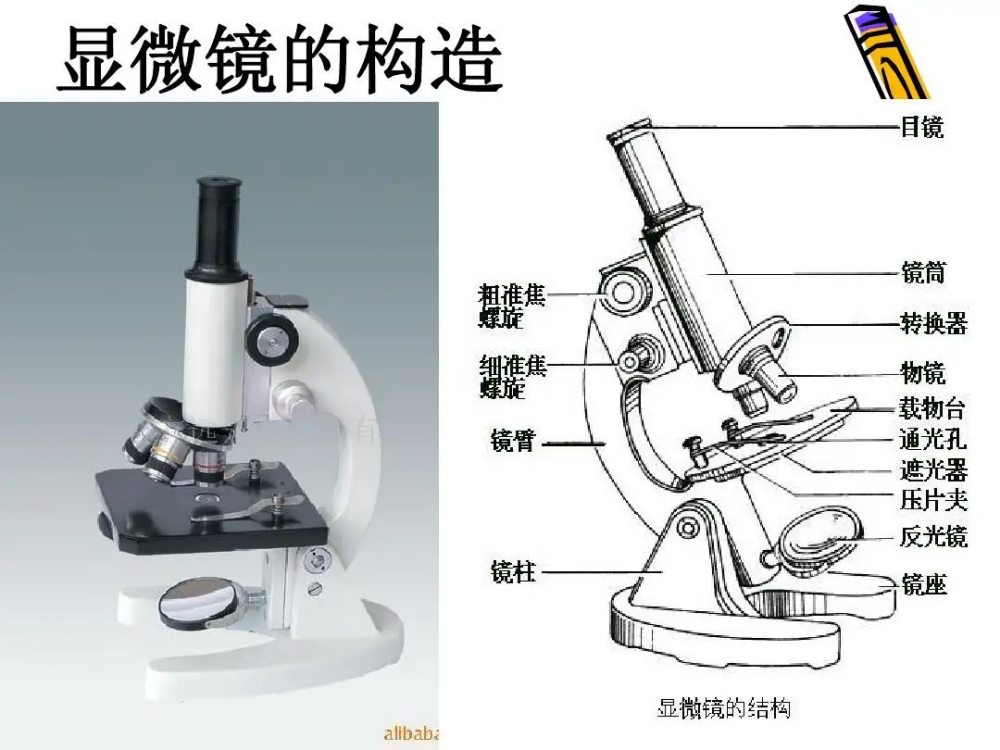 显微型镜实物图片及其结构示意图